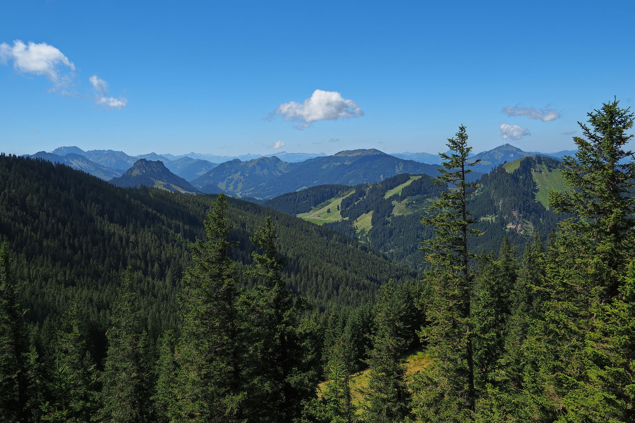 Alpspitz-Blick