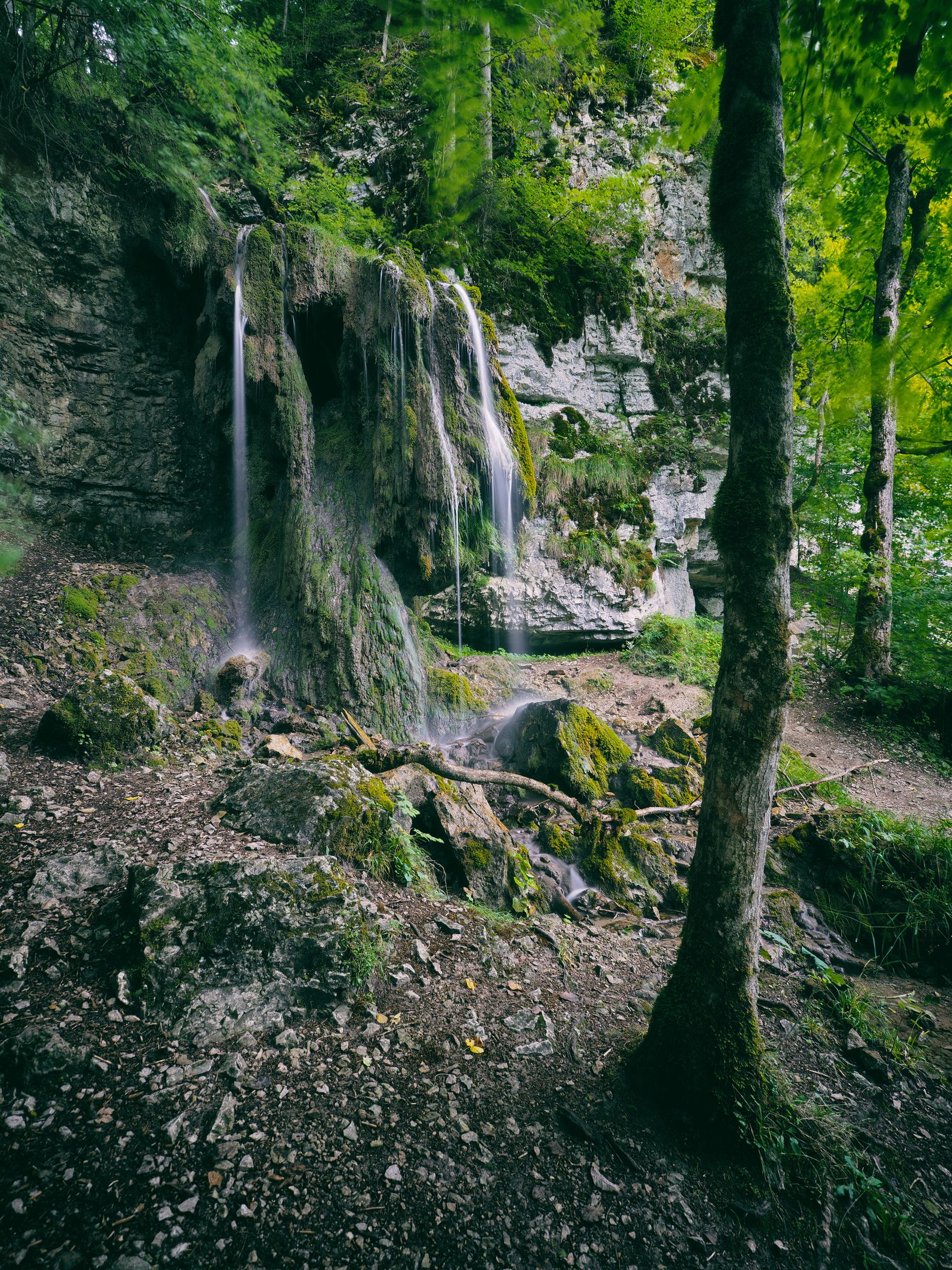 Tannegger Wasserfall